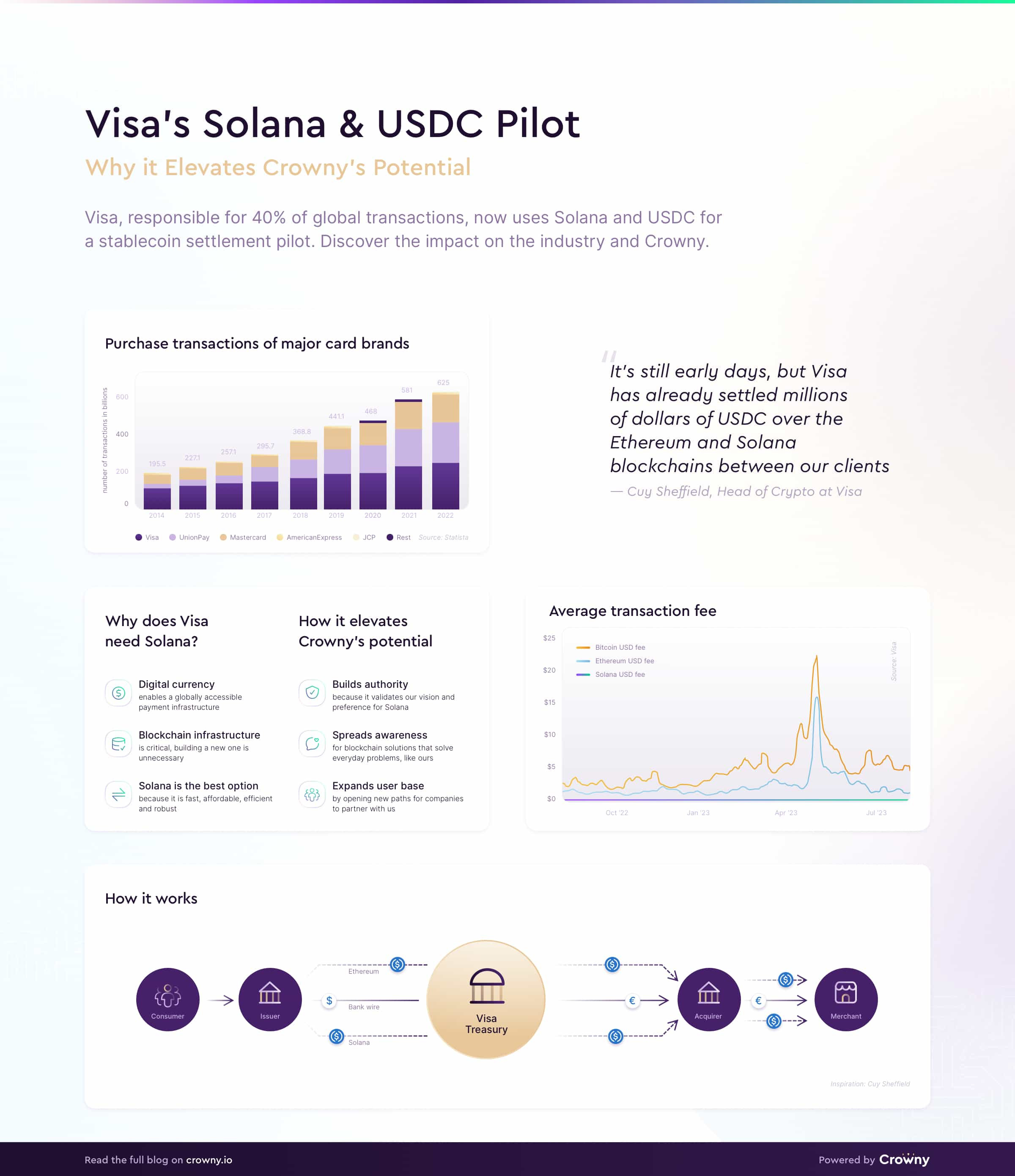 Visa's Solana and USDC Pilot infographic