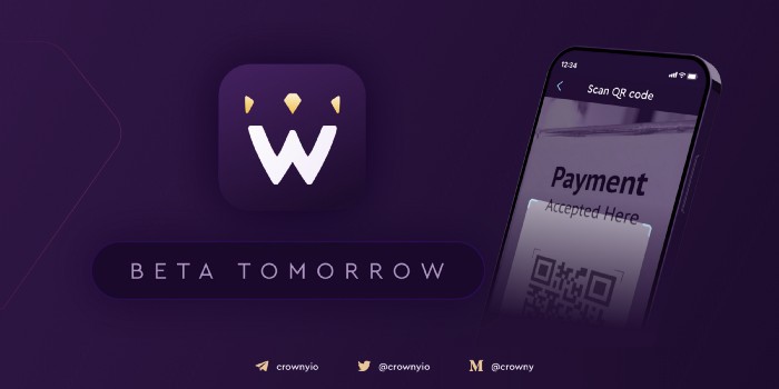 The day before we launched the Beta Version of the Crowny App.