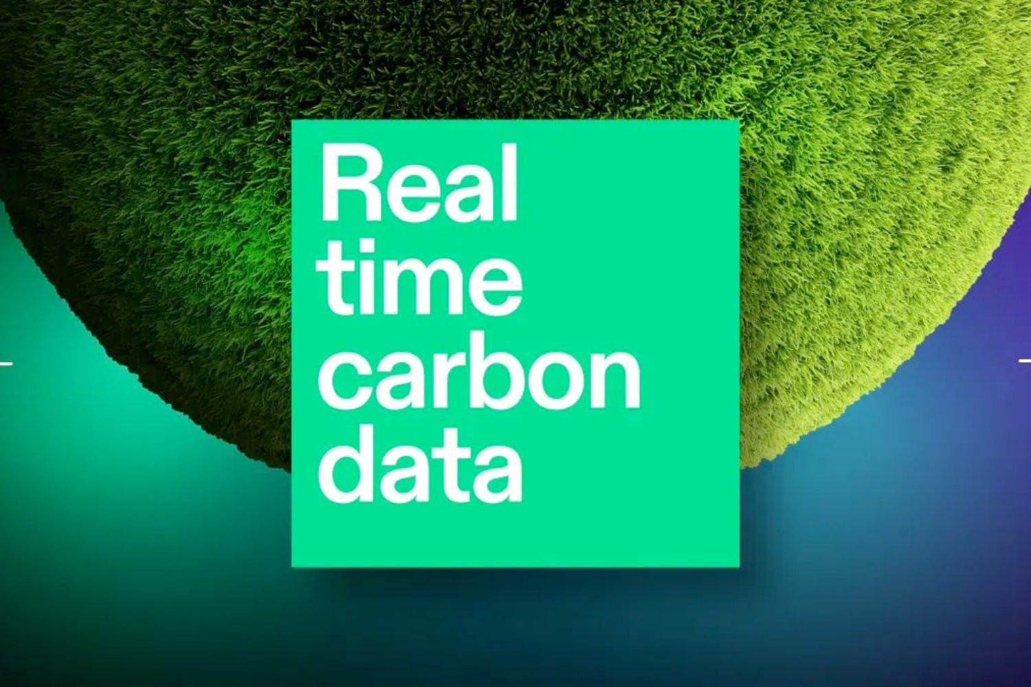 real time carbon data